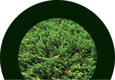 ITS Web Natural Supreme